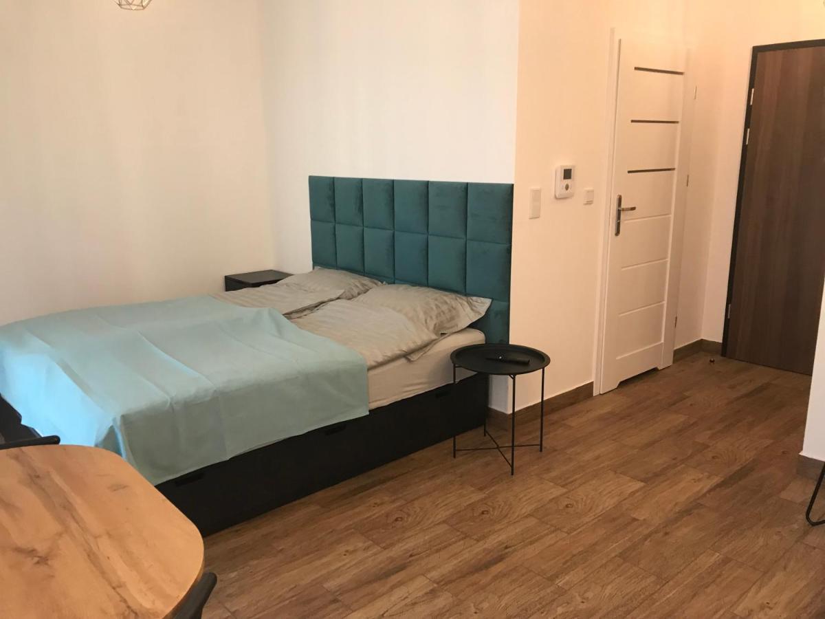 Steam Park Rakowicka Koper Apartment 克拉科夫 外观 照片