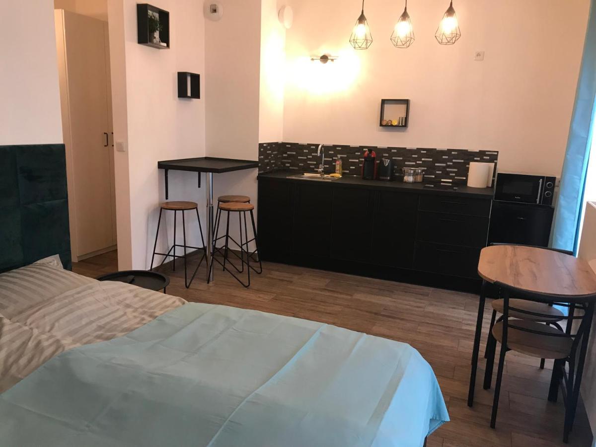 Steam Park Rakowicka Koper Apartment 克拉科夫 外观 照片